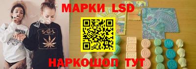 стафф Дубна