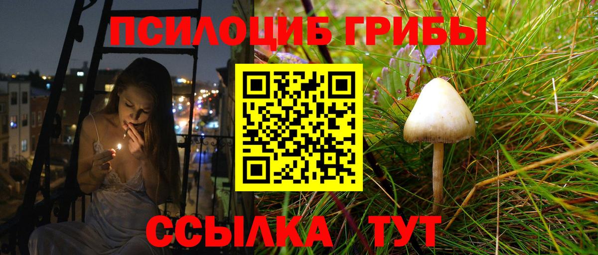 Галлюциногенные грибы мухоморы Набережные Челны